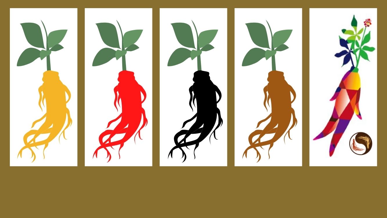 Miért nem érzi mindenki egyformán a ginseng hatását?