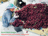 Koreai Multi Greens: Hibiszkusz kézi szüretelése, válogatása