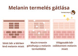 hogyan működik mucin és hogyan gátolja a melanin termelését